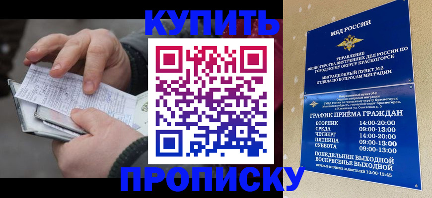 временная регистрация недорого в Щиграх